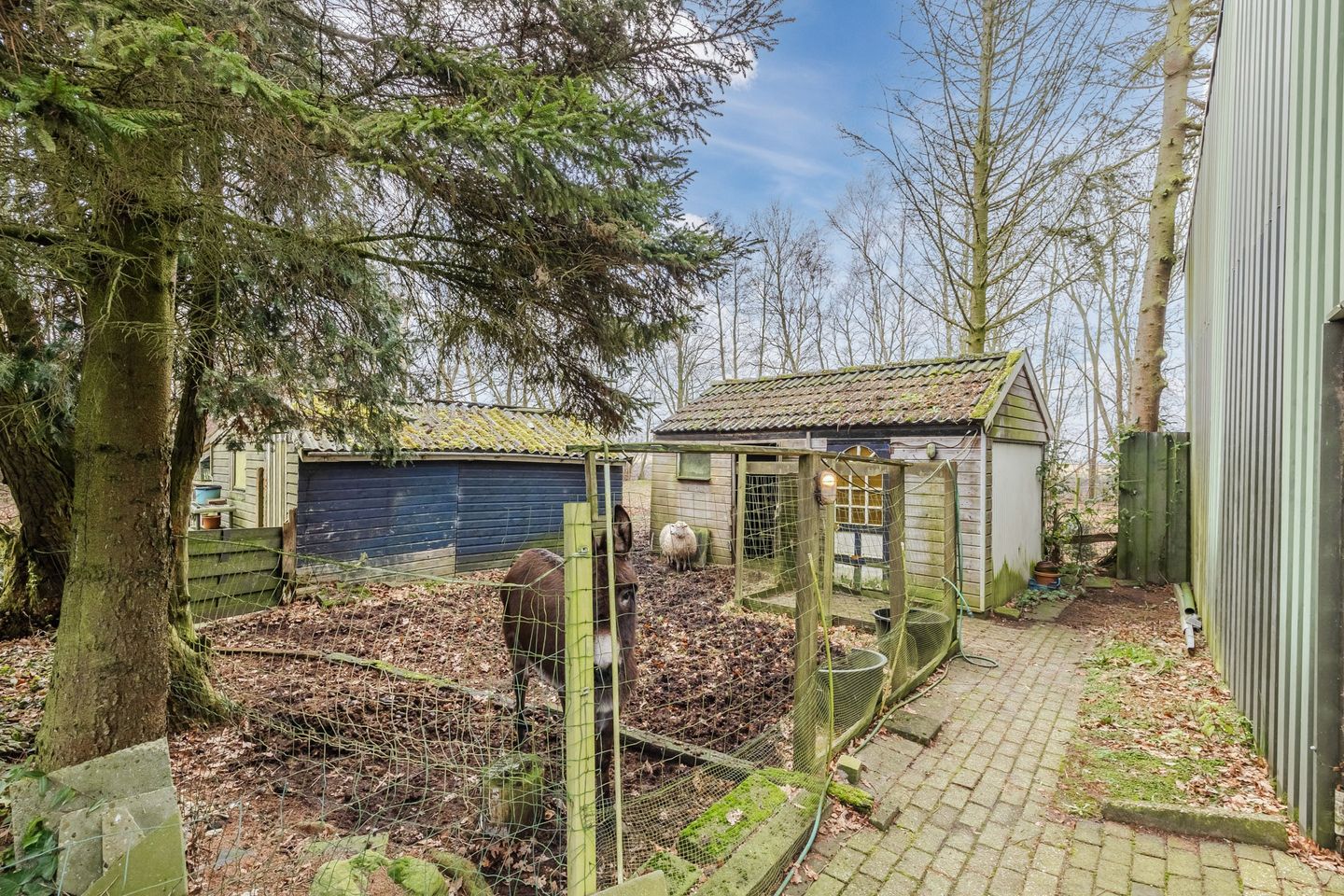 Foto 40 van Streekje 5