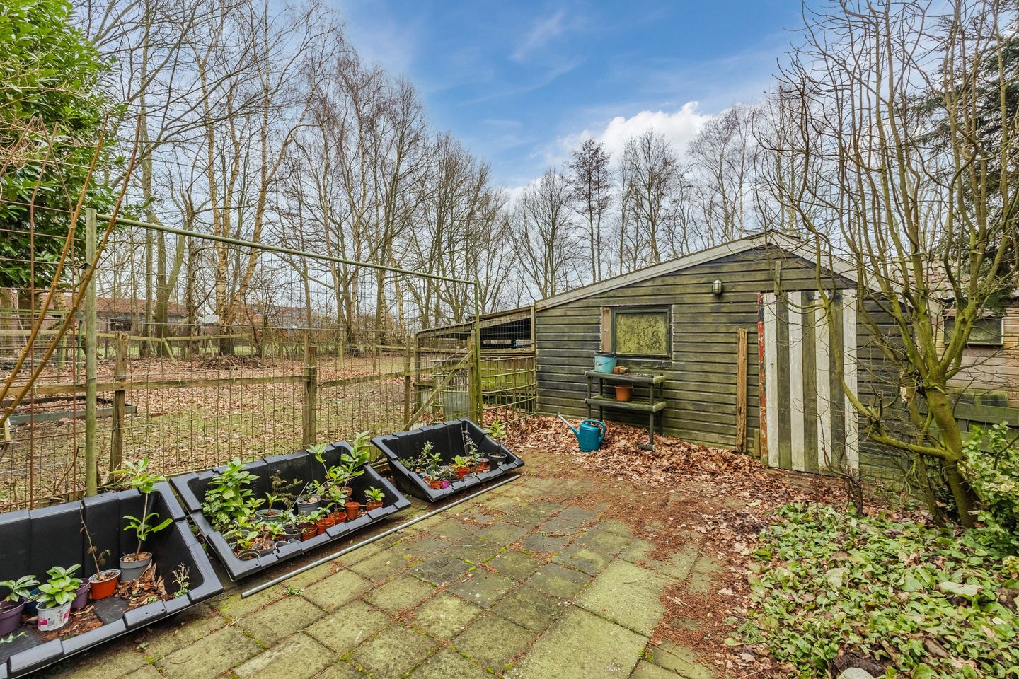 Foto 44 van Streekje 5