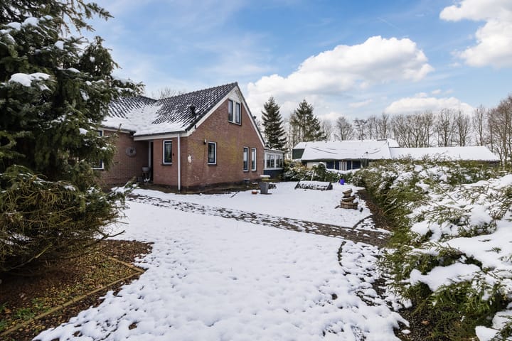 Foto 53 van Streekje 5