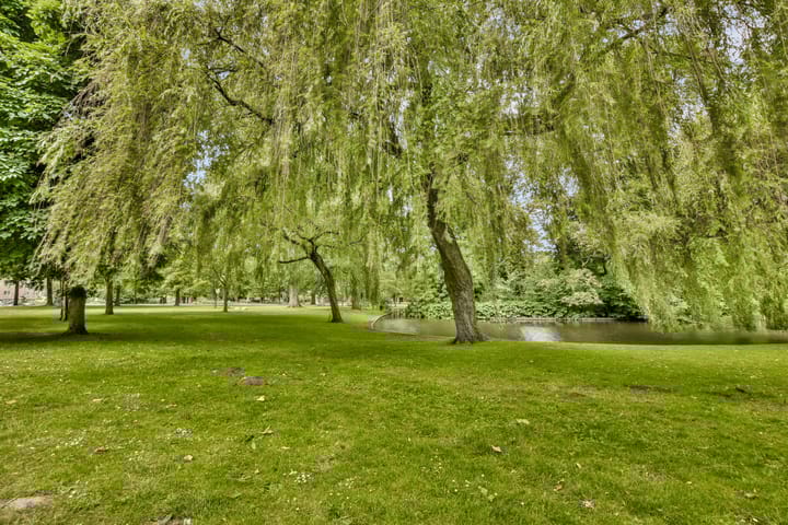 Foto 22 van Zaanstraat 162