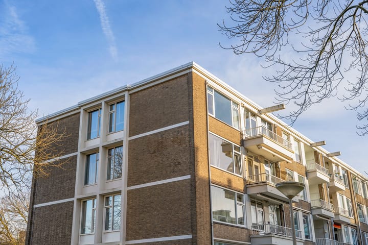 Foto 40 van Aaltje Noordewierstraat 9