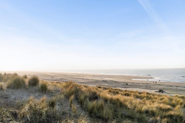 Foto 44 van Aaltje Noordewierstraat 9