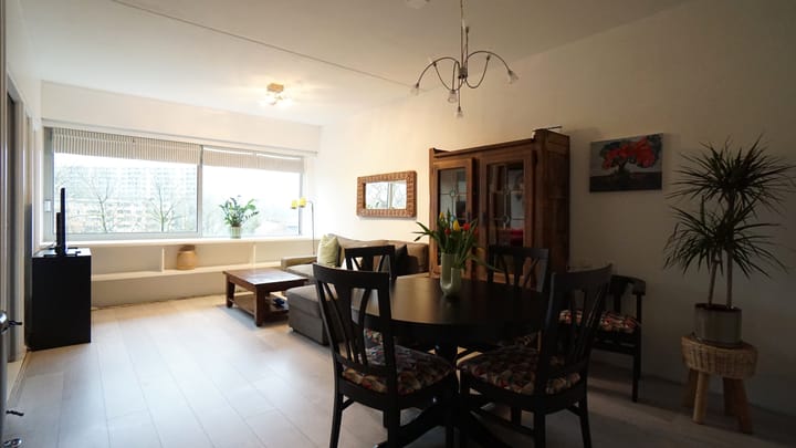 Foto 19 van Boeierstraat 133