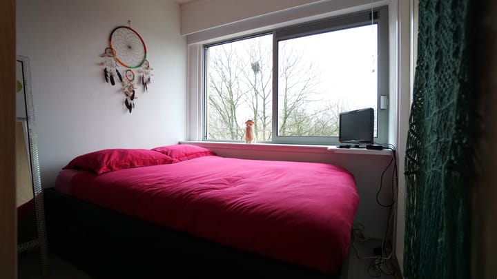 Foto 23 van Boeierstraat 133