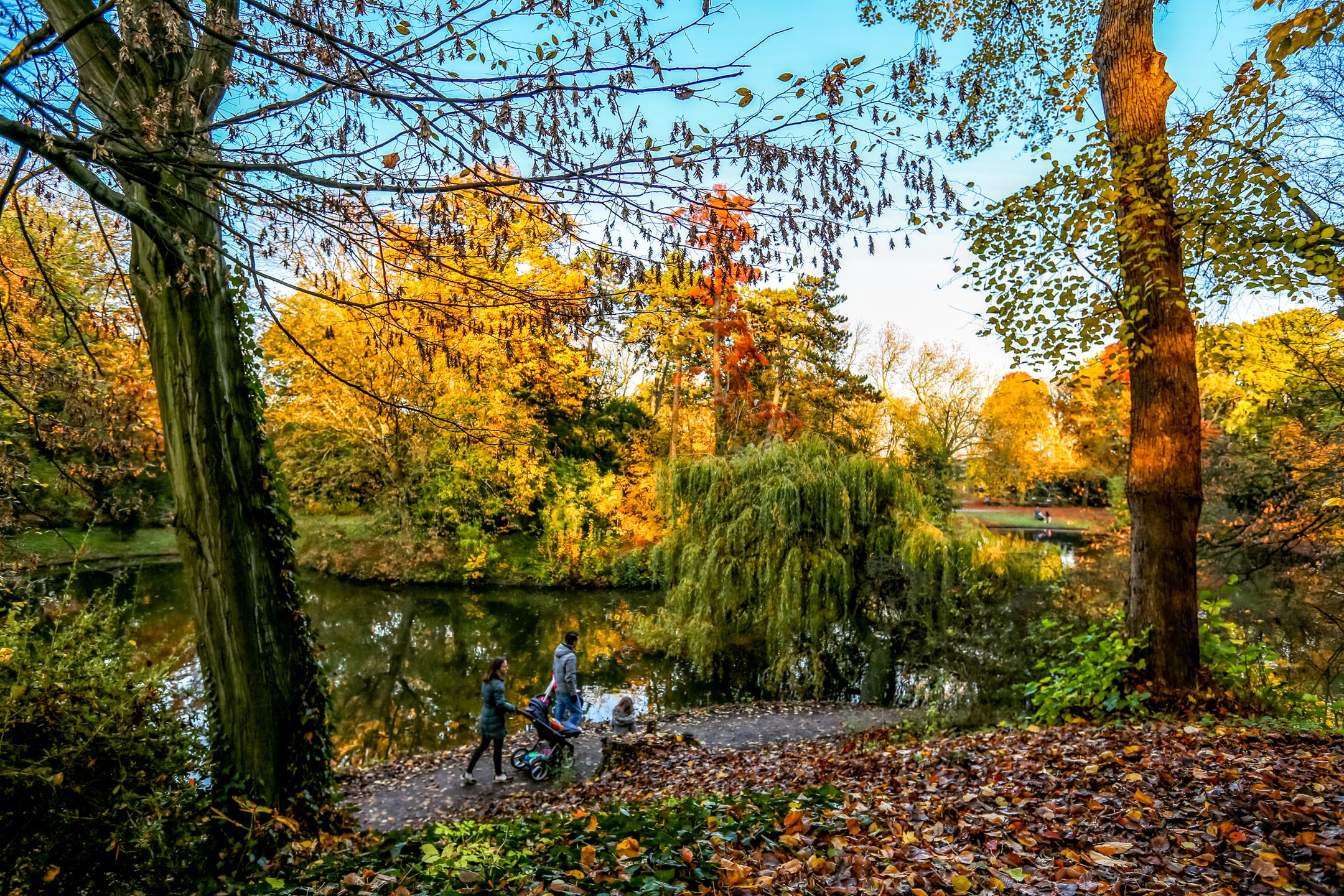 Foto 33 van Linnaeusstraat 30