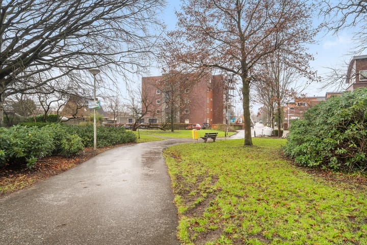 Photo 44 of Hoorn 23