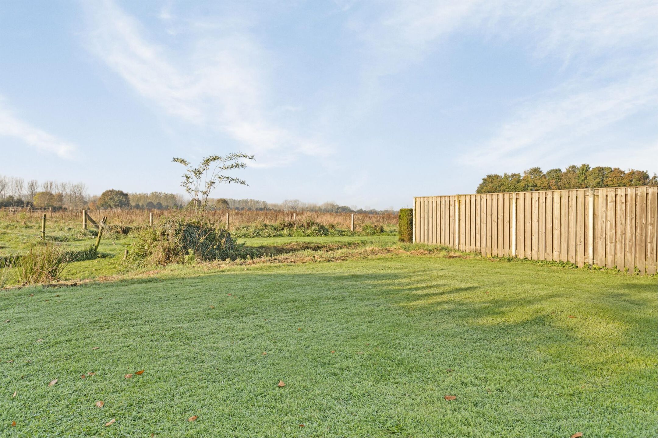 Foto 30 van Rosenhofstraat 11