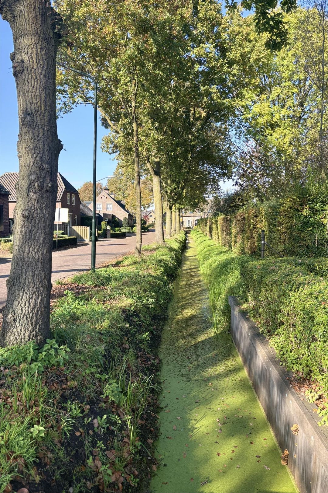 Foto 38 van Rosenhofstraat 11