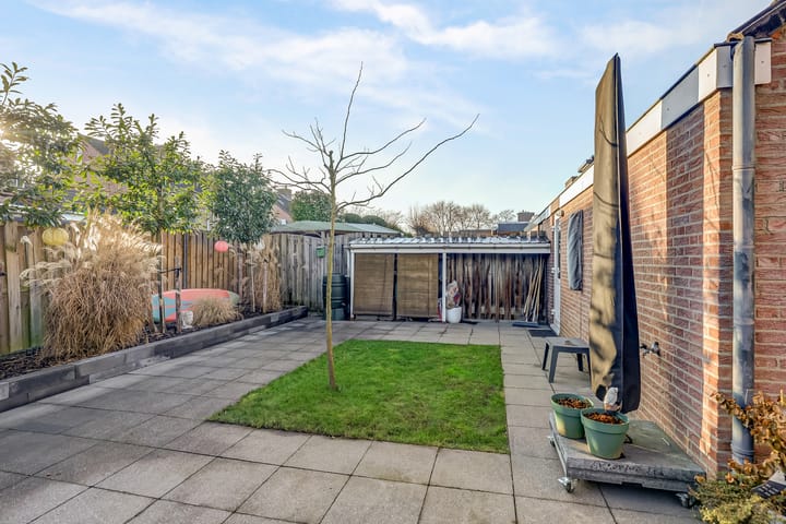 Foto 40 van Faunasingel 5