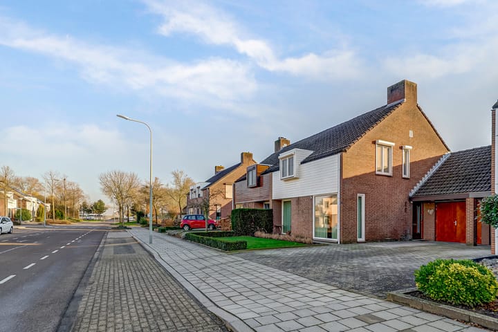 Foto 42 van Faunasingel 5