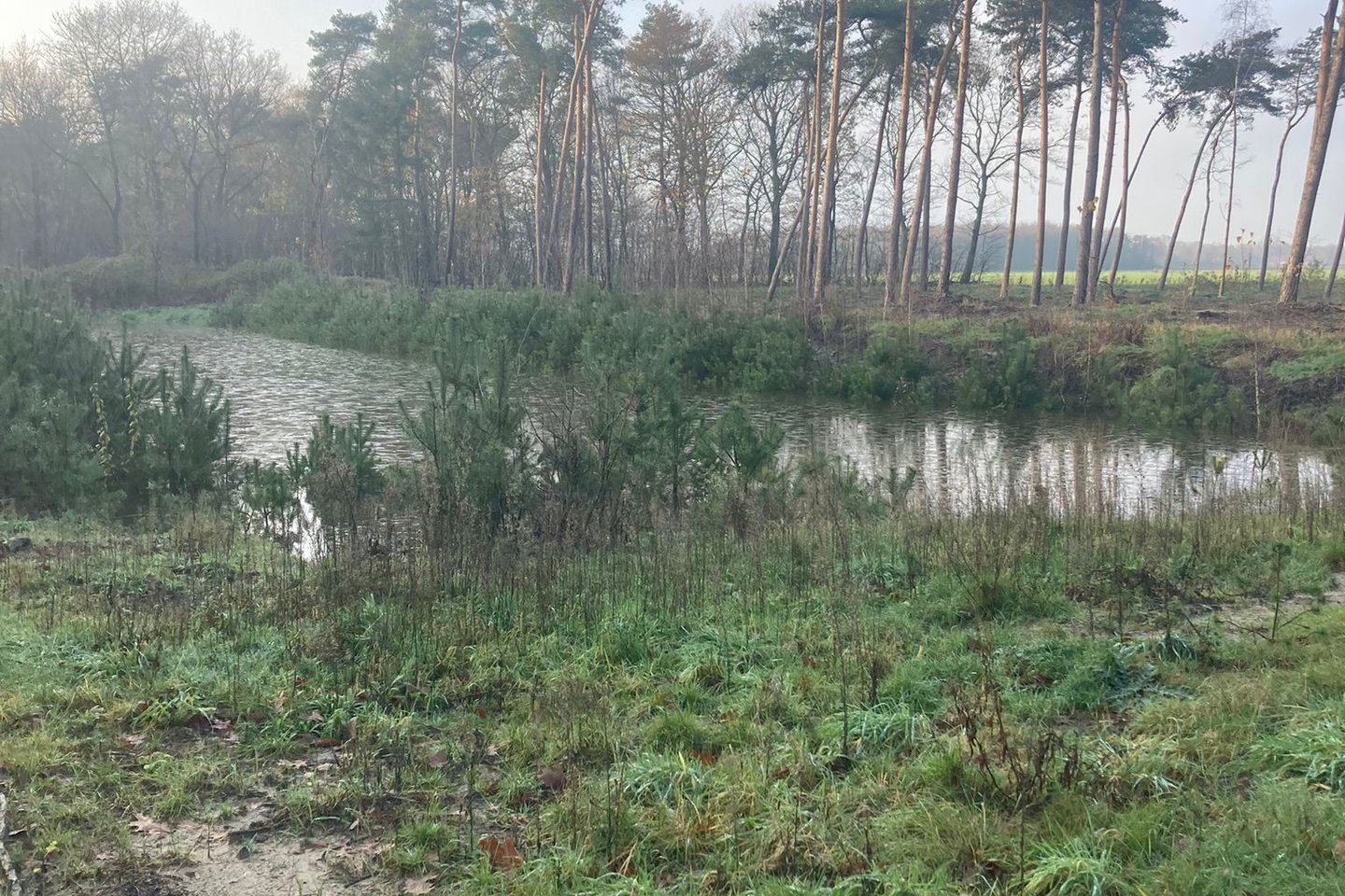 Bekijk foto 3 van Stevensbeekseweg