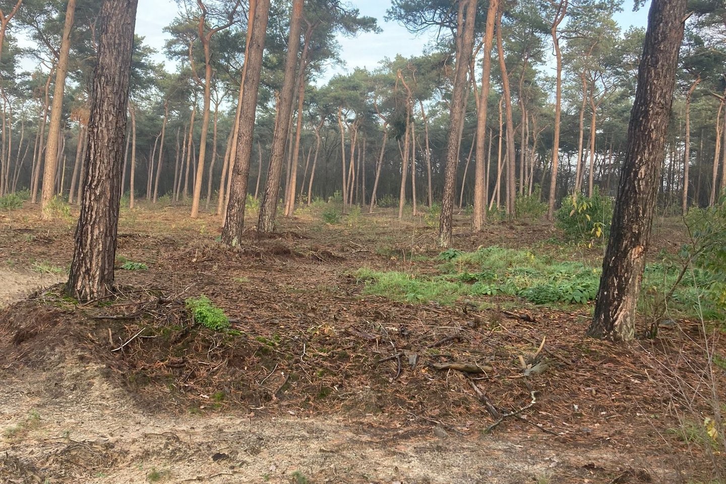 Bekijk foto 4 van Stevensbeekseweg