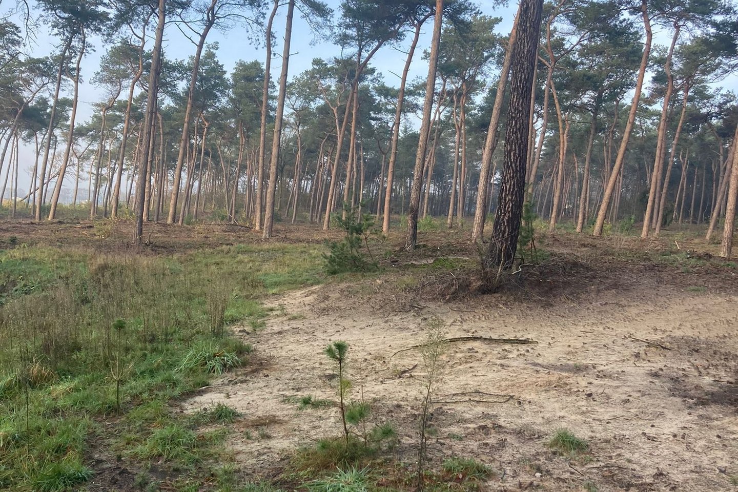 Bekijk foto 2 van Stevensbeekseweg