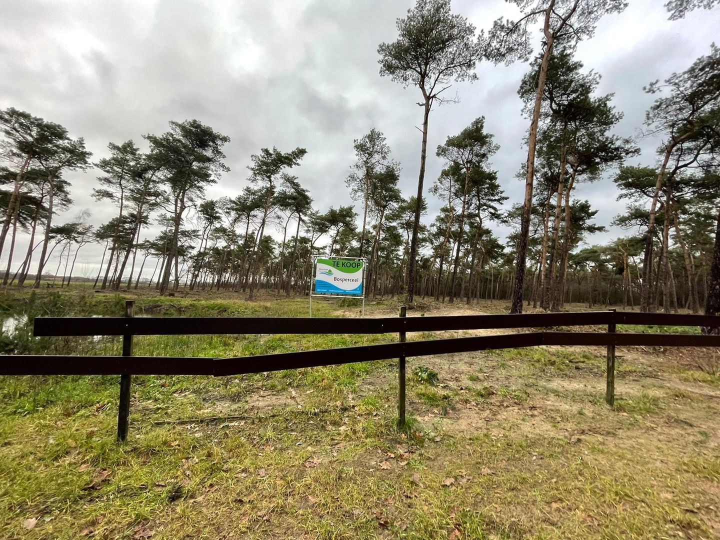 Stevensbeekseweg - Overloon - Afbeelding 7