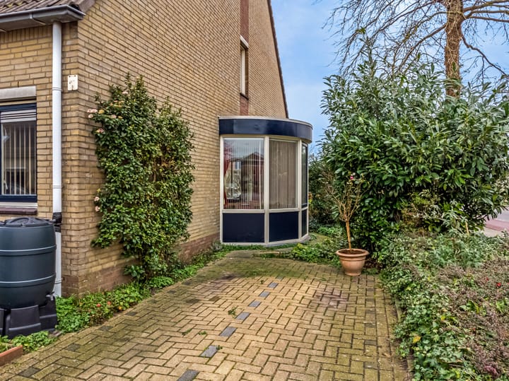 Photo 9 of Lisdodde 2