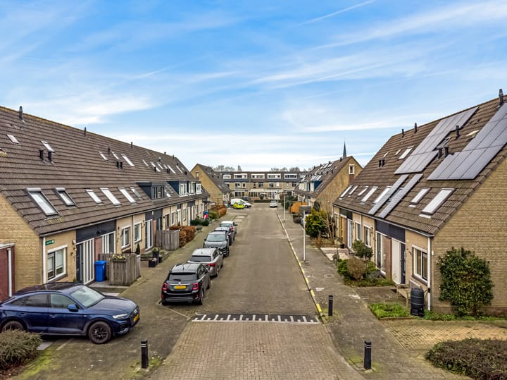 Photo 43 of Lisdodde 2