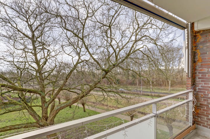 Foto 27 van Ravelijn 117