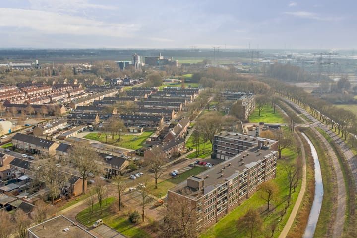 Foto 31 van Ravelijn 117