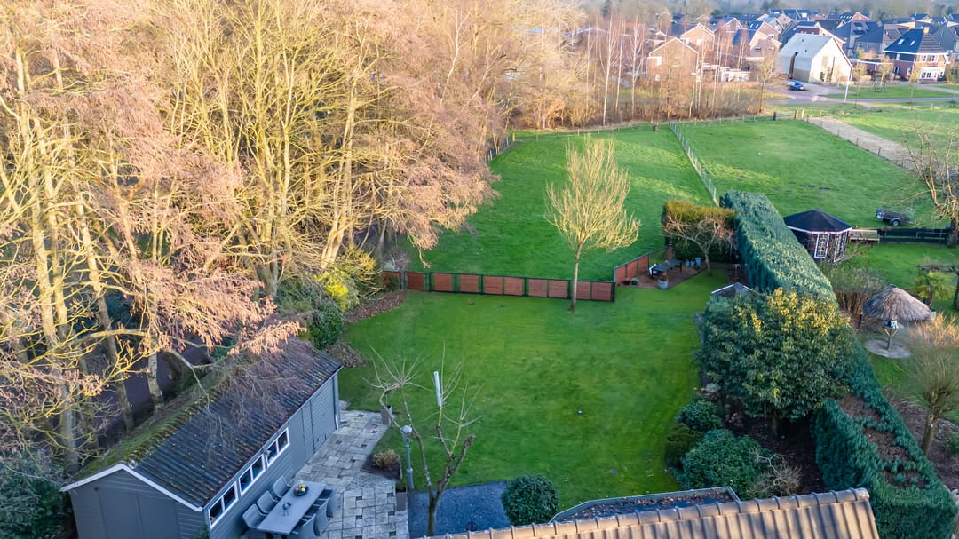 Foto 2 van Wolfhorn 8