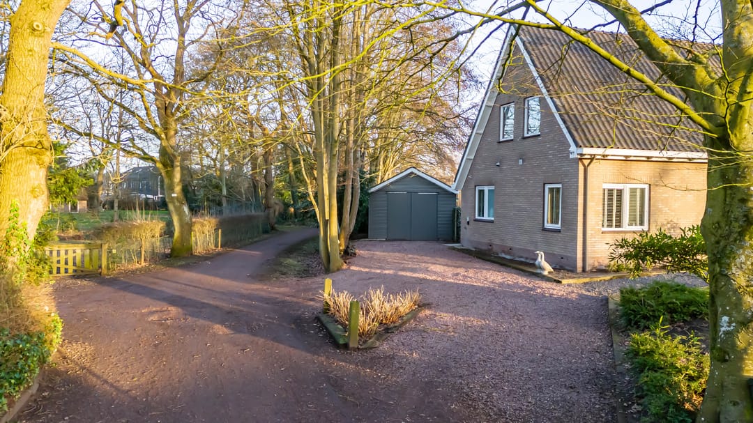 Foto 8 van Wolfhorn 8