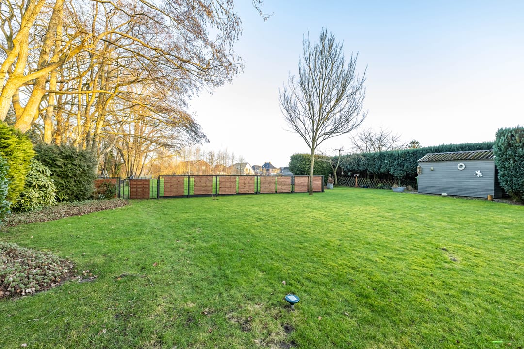 Foto 13 van Wolfhorn 8