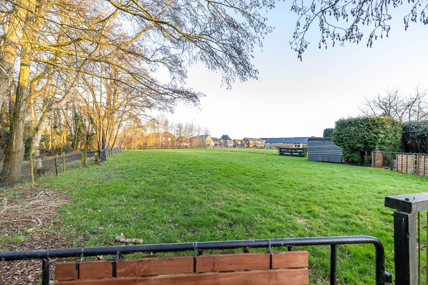 Foto 14 van Wolfhorn 8