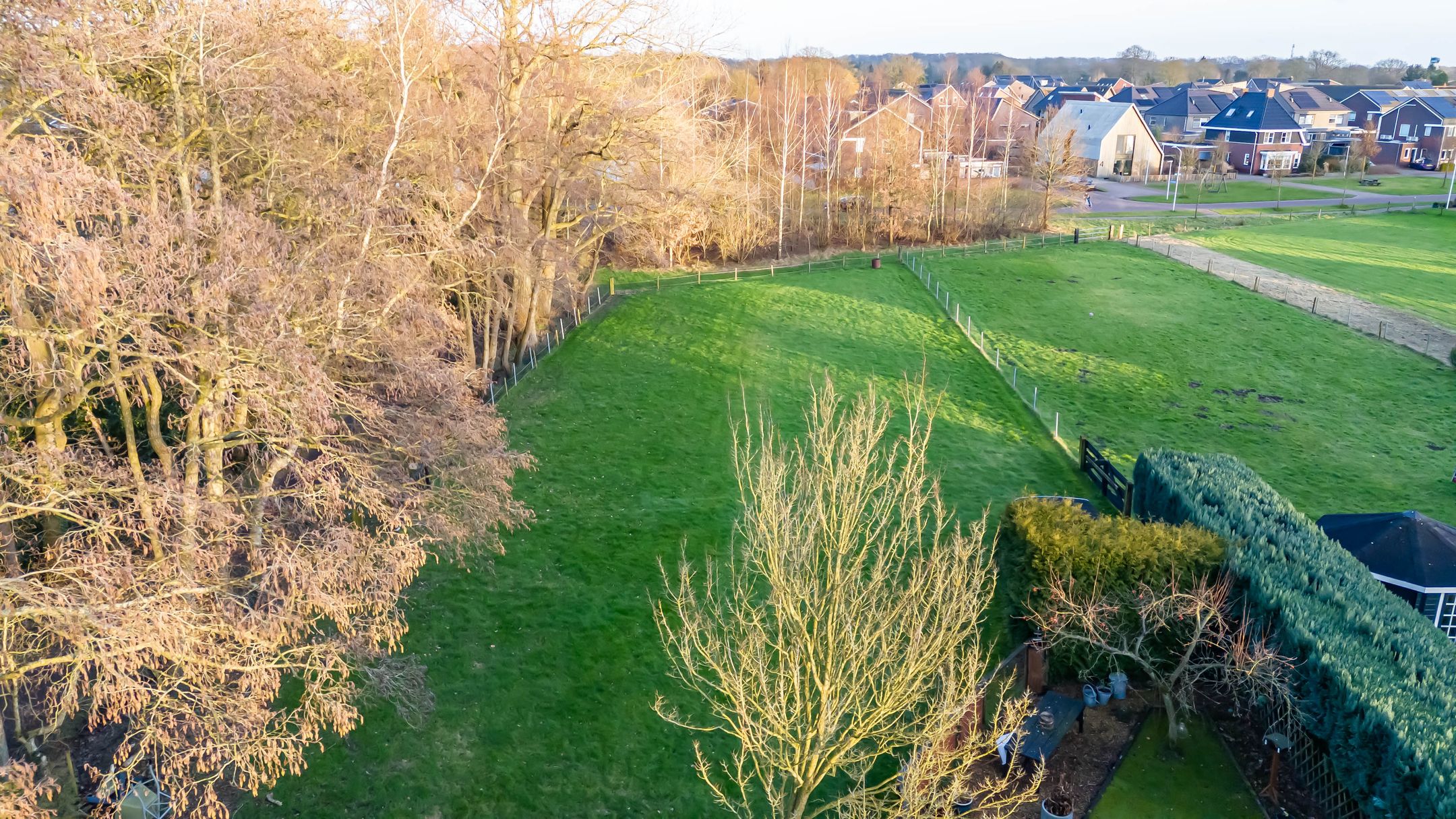 Foto 15 van Wolfhorn 8