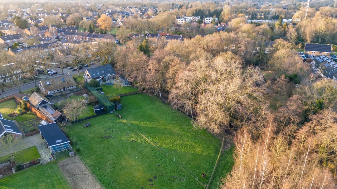 Foto 16 van Wolfhorn 8