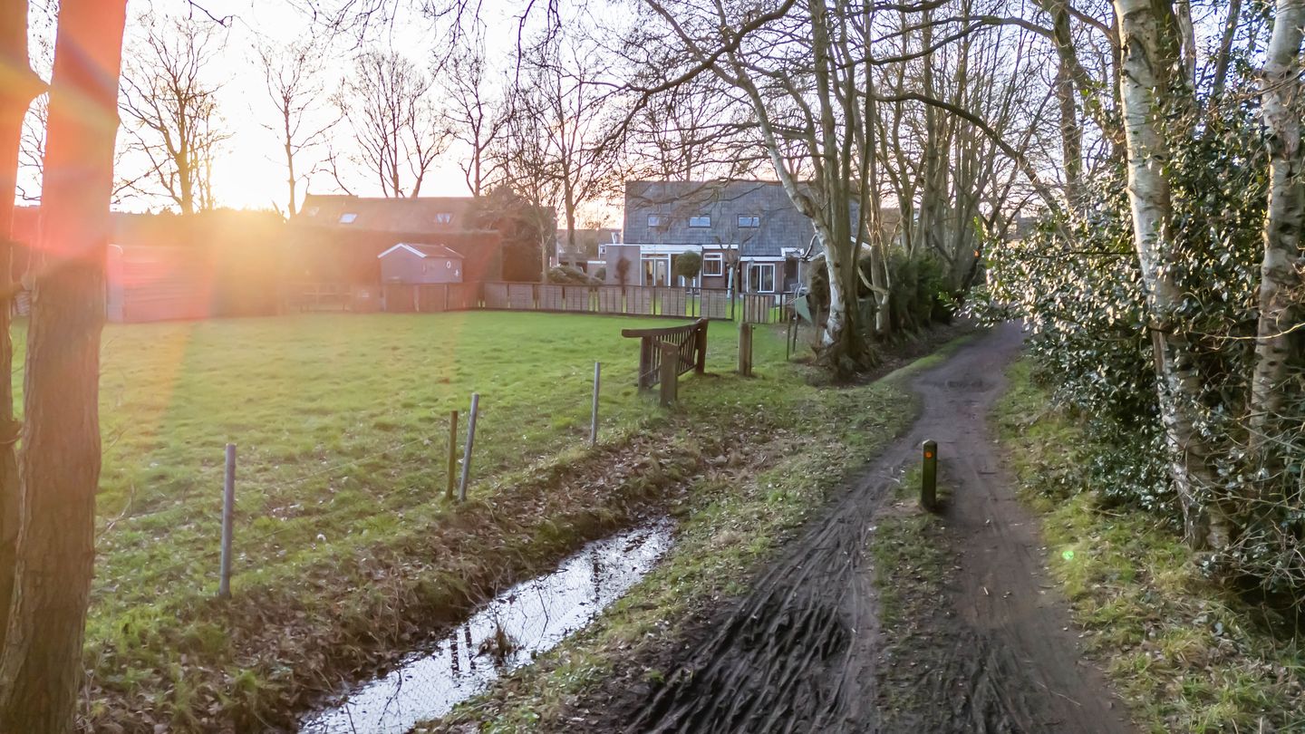 Foto 20 van Wolfhorn 8