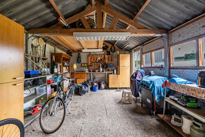 Foto 66 van Wolfhorn 8