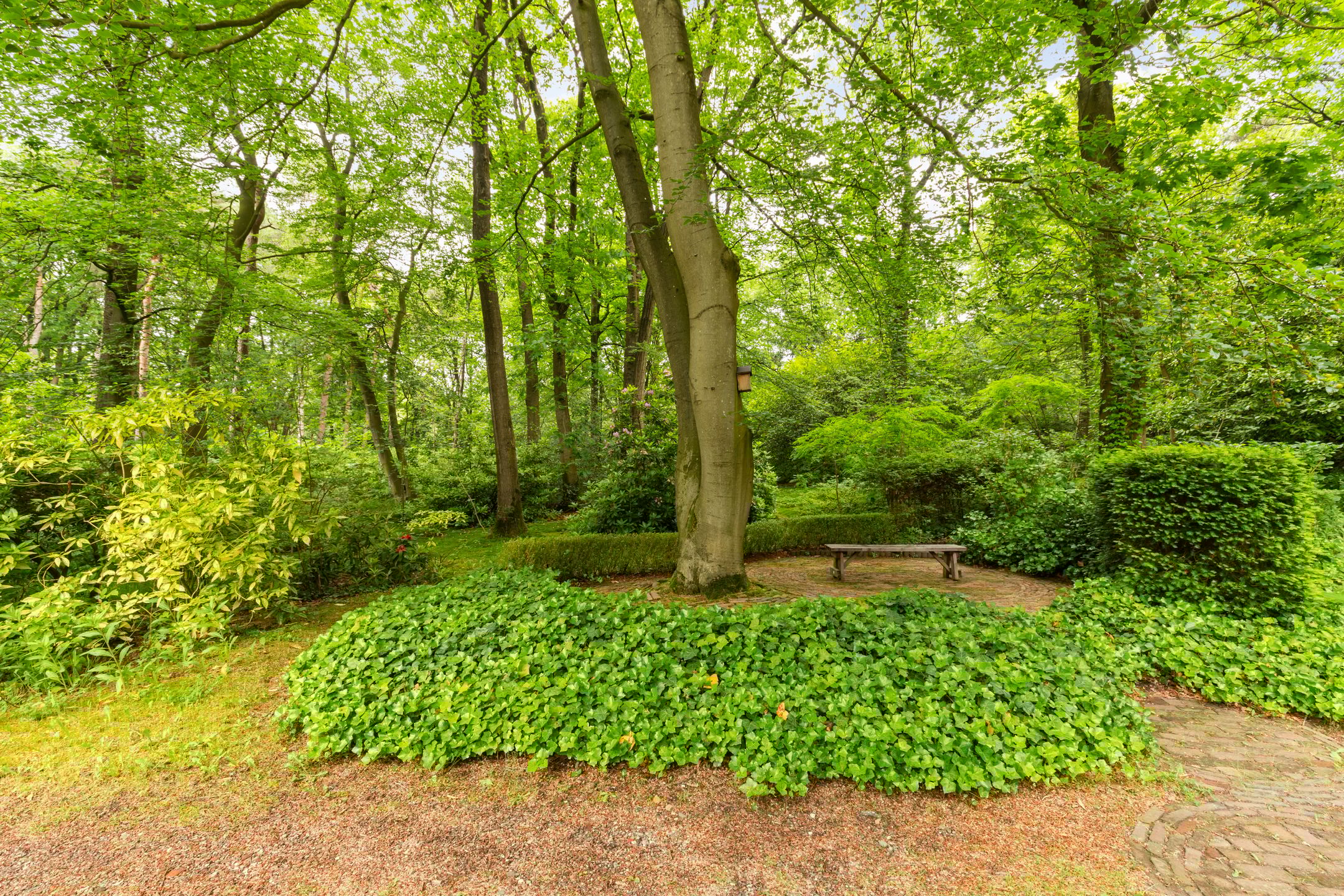 Foto 30 van Amersfoortsestraat 65-A