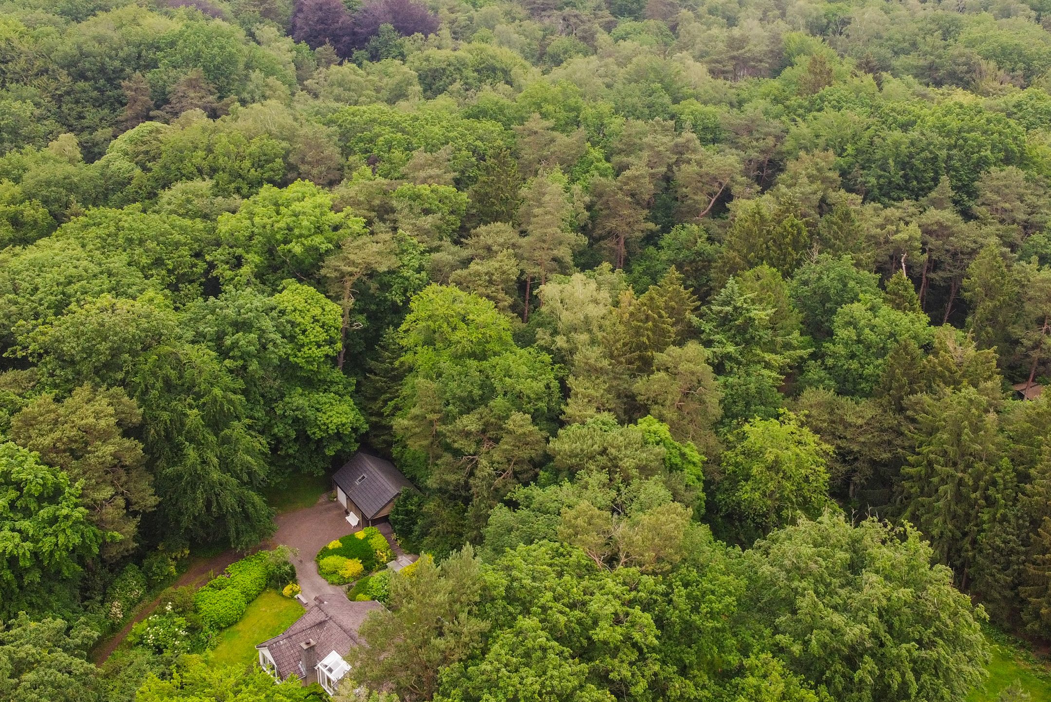 Foto 33 van Amersfoortsestraat 65-A