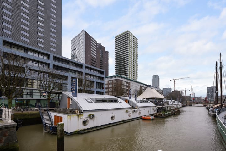 Foto 29 van Bierstraat 273