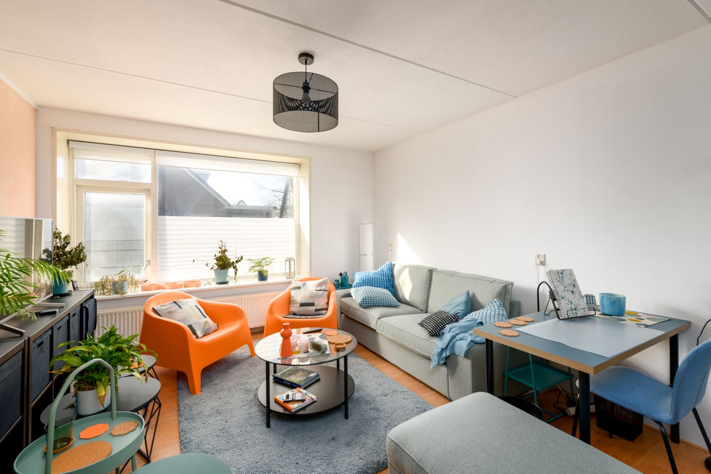 Foto 4 van Skipper 44