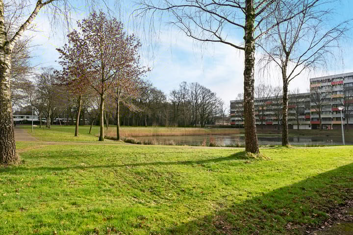 Foto 25 van Laan van de Eekharst 493