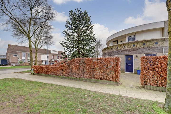 Foto 26 van Saltshof 3068