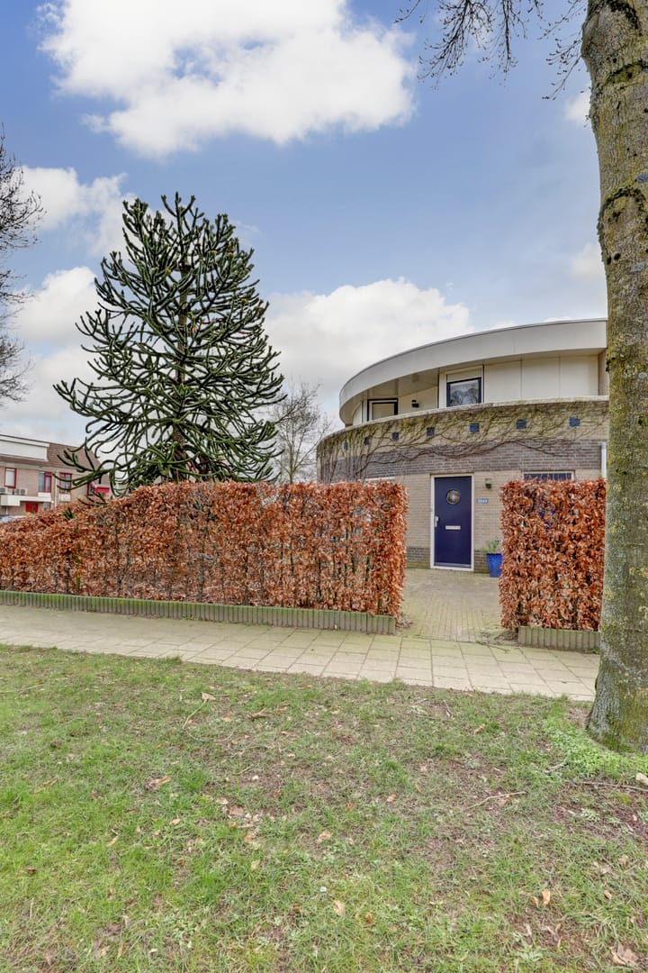 Foto 28 van Saltshof 3068