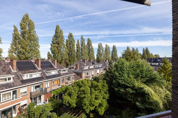 Foto 12 van Kleiweg 105-B