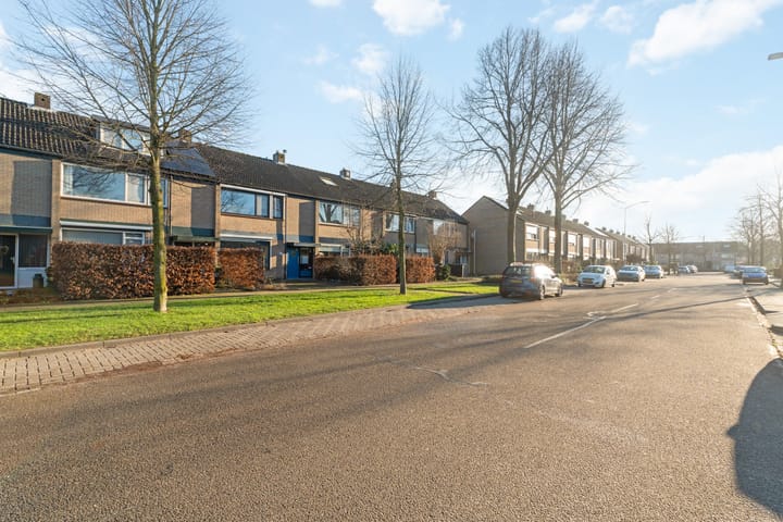 Foto 50 van 't Stegeslag 70