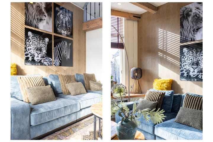 Foto 31 van Franekereind 19