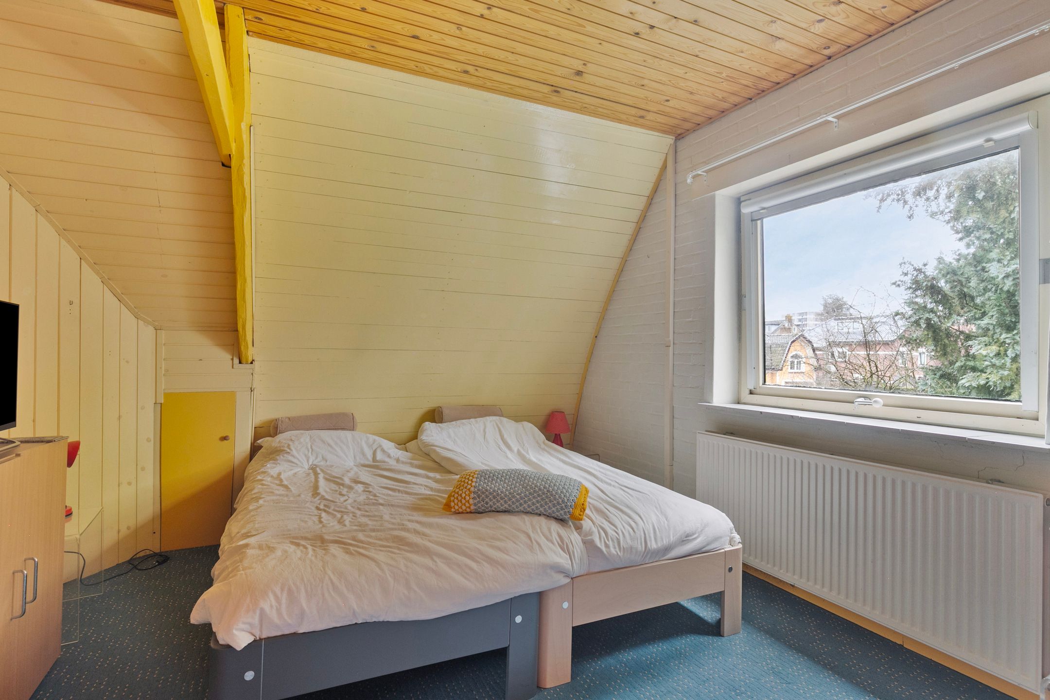 Foto 36 van Anna Paulownalaan 6