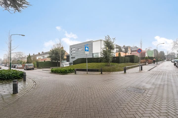 Foto 50 van Anna Paulownalaan 6