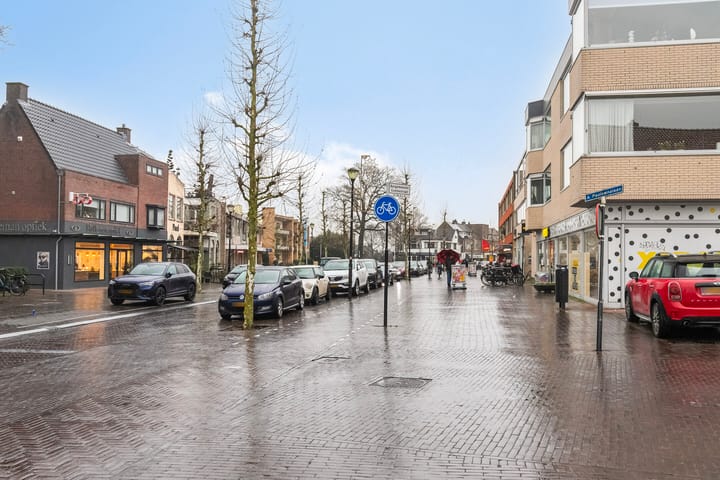 Foto 51 van Anna Paulownalaan 6