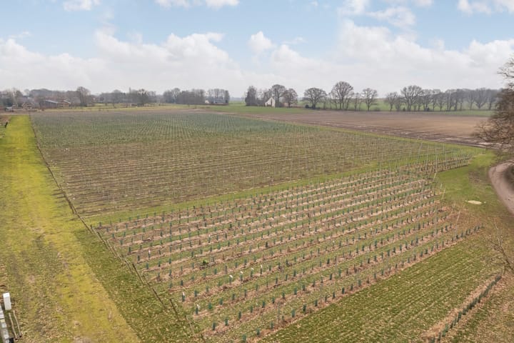 Foto 48 van Zandvoortspad 1-A