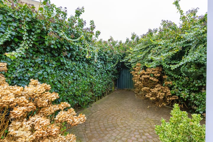 Foto 30 van Dahliastraat 47