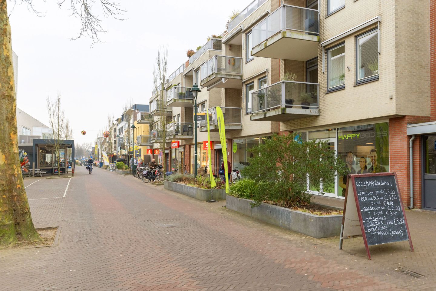 Foto 40 van Dahliastraat 47