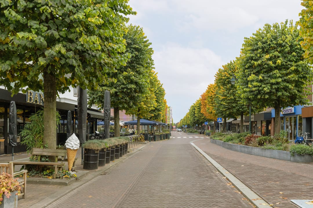 Foto 41 van Dahliastraat 47