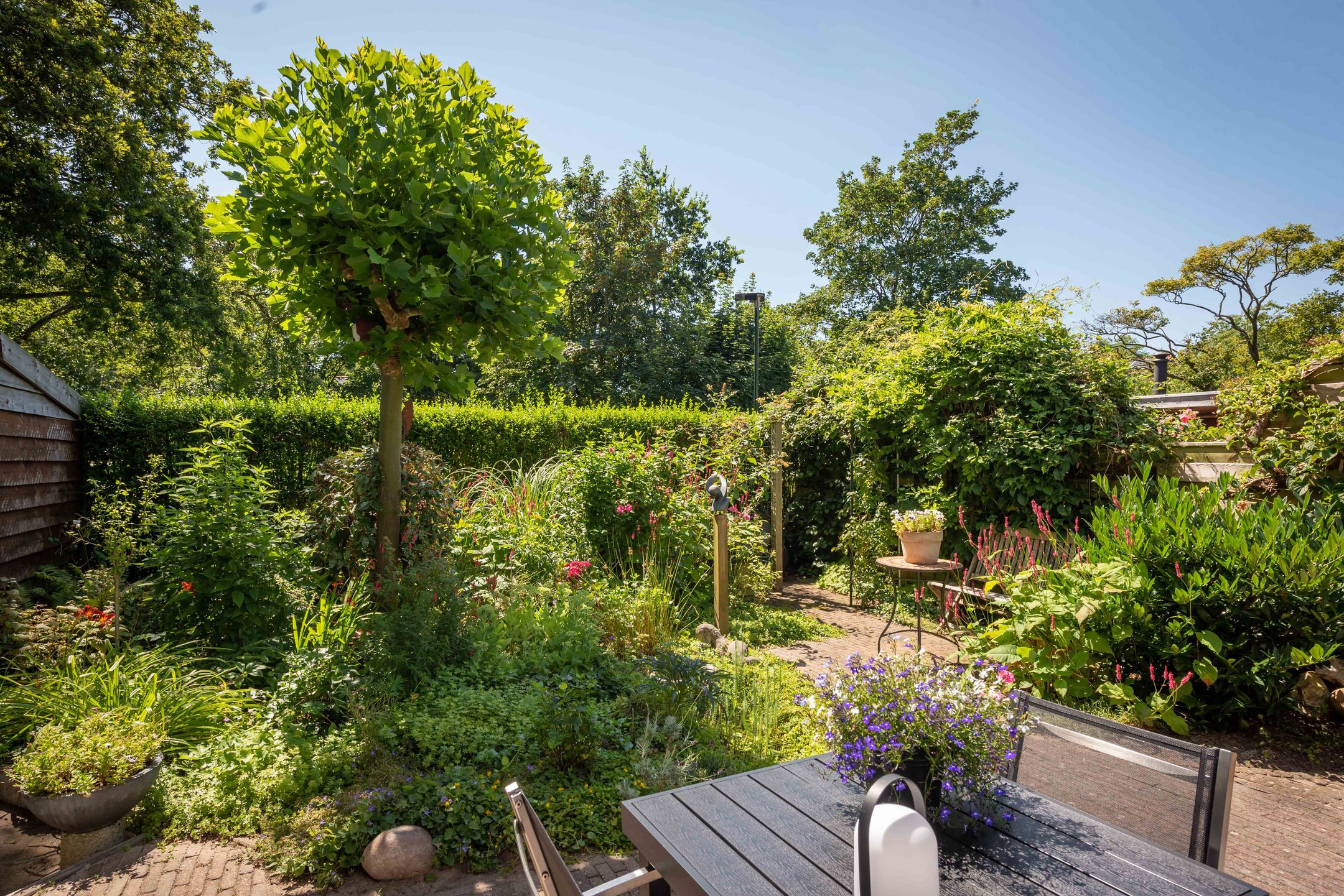 Foto 42 van Sandecamplaan 39