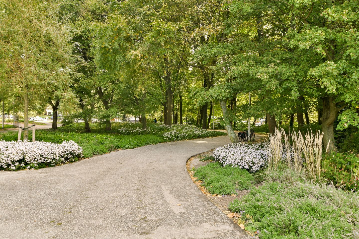 Foto 34 van Woestduinstraat 51-2