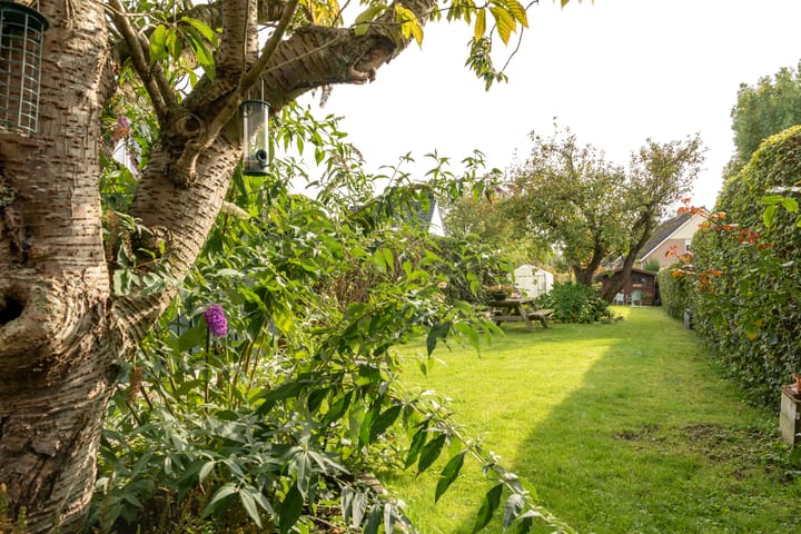 Foto 6 van Buorren 89